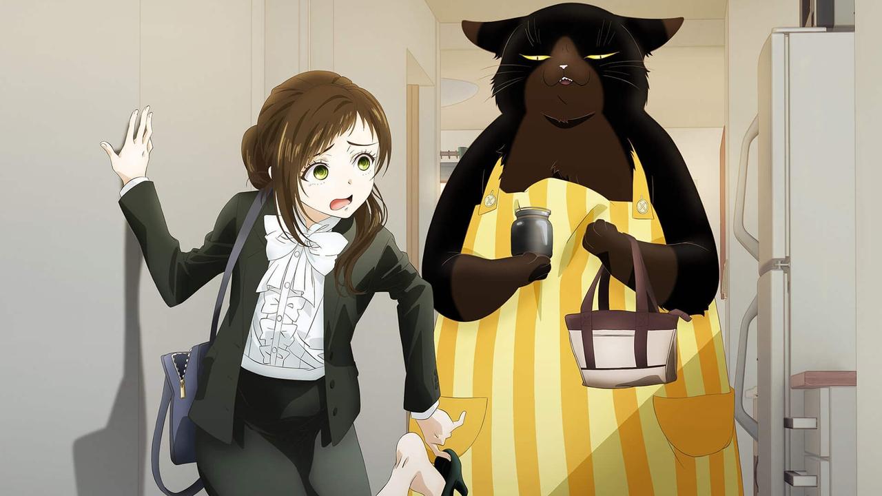 アニメ『デキる猫は今日も憂鬱』をHuluで視聴！あらすじ・見どころ・配信情報