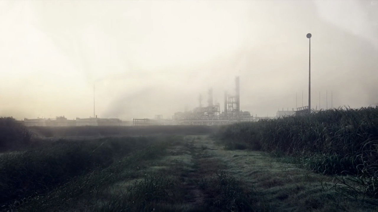 海外ドラマ『TRUE DETECTIVE／トゥルー・ディテクティブ』をWOWOWで一気見！重厚な犯罪劇の魅力と視聴方法